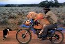 images (12)