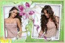 Anahi