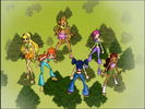 2x12-WinxForest