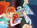 3x24-BloomIcy