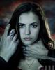 vampirediaries_4d693216b509c