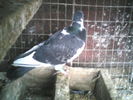 P19-03-11_15.50