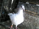 P20-03-11_10.50[3]