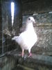 P20-03-11_10.50[1]