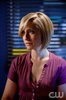 Allison Mack (36)