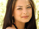 Kristin Kreuk (1)