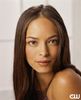 Kristin Kreuk (2)