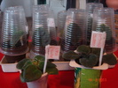 DSC05951