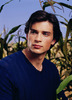 Tom Welling (17)