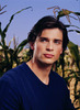 Tom Welling (18)