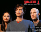 Smallville (8)