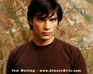 Tom (1)