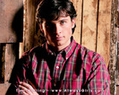 Tom (6)