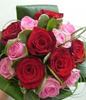 images (15)
