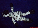 DSC00865