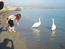 Andreea
