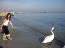 Andreea