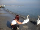 Andreea