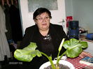 admirata de prietena Mariana