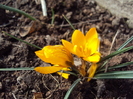 DSC07519