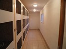 custile noi a lui Barcsa