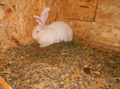DSCN0955