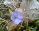 Imag008