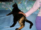 martie 062