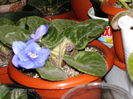 martie 023