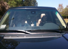 justin caitlin Justin Bieber se plimba in masina cu fosta sa prietena, Caitlin Beadles