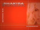 ShakiraWallpapers05