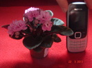 DSC05994