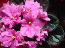 DSC05986