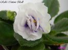 Rob_s Cotton Ball 15-03-2011