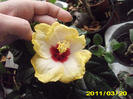 Picture 002