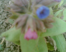 Picture 007