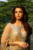 Aishwarya-Rai-hot-saree-snaps-from-Enthiran1