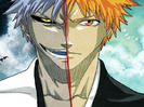 bleach_m35_1_[1]