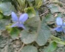 Picture 044