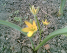 Picture 041