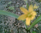 Picture 042