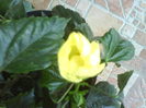 DSC04281
