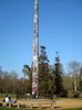 DSC07007
