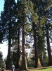 DSC07025