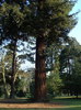 DSC07028
