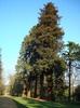 DSC07031