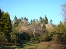 DSC07039