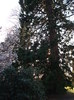 DSC07041
