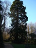 DSC07045