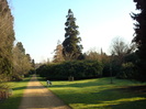 DSC07049